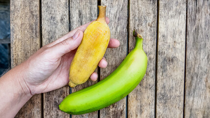 Ripe yellow banana and unripe green banana held side by side against a wooden plank background, concept of comparison or progression with space for text