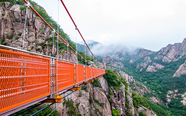 Landscape view of cloud bridge in the forest wolchulsan,  South Korea. 