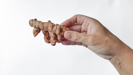Hand holding a fresh Curcuma root against a white background with ample space for text, suitable for health and nutrition themes