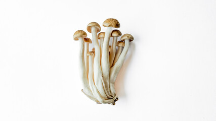 A bundle of fresh enoki mushrooms isolated on a white background with ample copy space, ideal for culinary concepts and healthy eating themes
