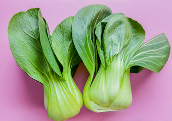 Fresh bok choy on a pink background with space for text, suitable for culinary themes and healthy eating concepts