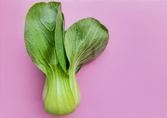 Fresh bok choy on a pastel pink background with copy space, ideal for healthy lifestyle and vegetarian food concept - obrazy, fototapety, plakaty