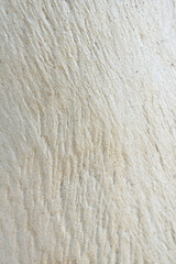 Eucalyptus tree bark texture, Bark of eucalyptus tree, seamless texture, a eucalyptus tree bark...