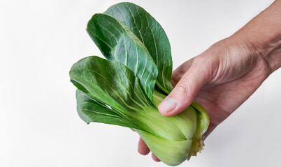 Hand holding fresh bok choy with a white background, copy space, healthy food concept - obrazy, fototapety, plakaty