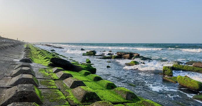 Sunset view of a rocky coastline with vibrant green algae, creating a serene sea background with ample copy space on the left for text, suitable for environmental themes or travel destinations