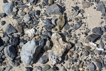 Stones, pebbles, and corals on a sandy beach