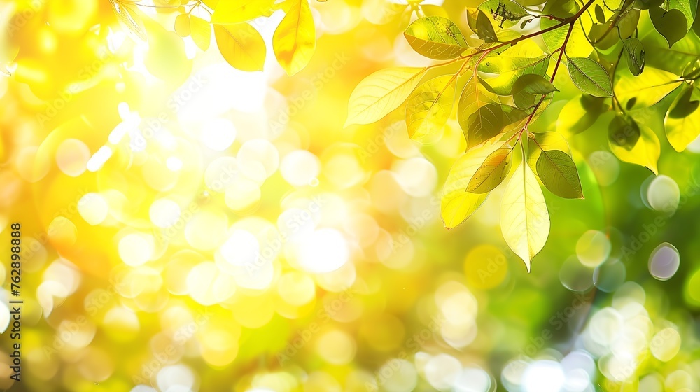 Aufkleber sunlight through leaves on tree image blur bokeh background Background yellow blur beautiful is the bokeh effect nature color autumn time fall  season : Generative AI