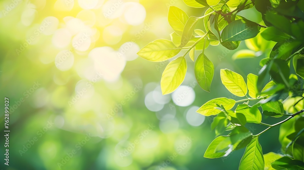 Poster Bokeh of vivid leaves of trees in sunlight Natural green background Blurred rich greenery with copy space Abstract texture of defocused lush foliage in sunny day Backdrop of scenic nat : Generative AI