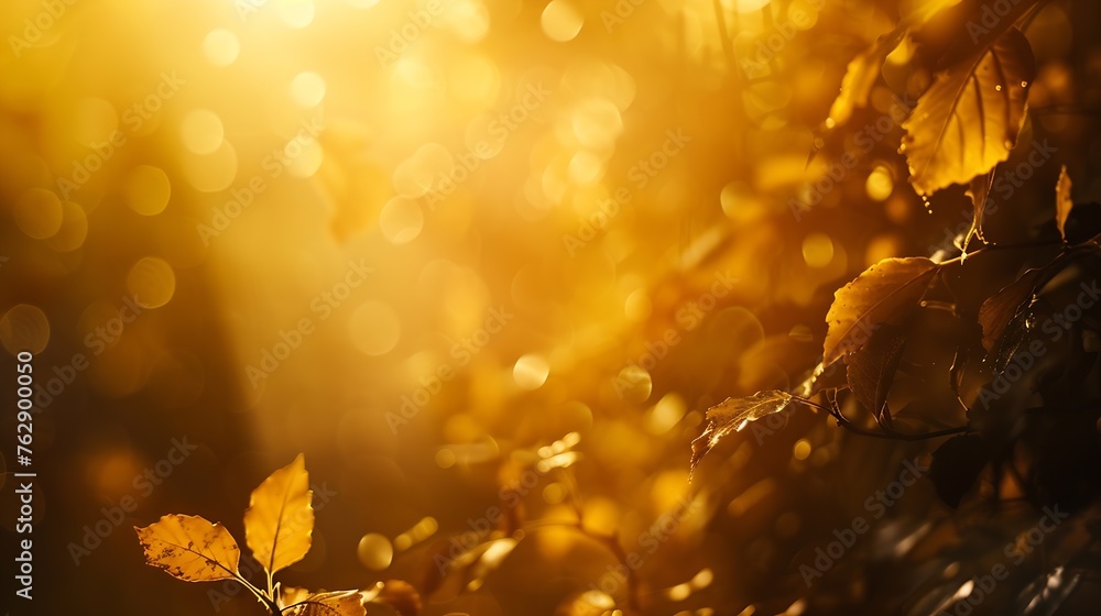 Aufkleber beautiful blurred autumn background with yellowgold leaves in the rays of sunlight on a dark natural