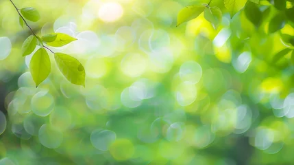 Foto op Aluminium Abstract blurred nature background with bokeh for creative designs Green leaves bokeh out of focus background from nature forest Green Nature spring and natural light in blur style wit : Generative AI © Generative AI