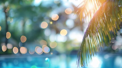 Blur summer background for resort hotel pool party with blue cool sky and tropical palm tree :...