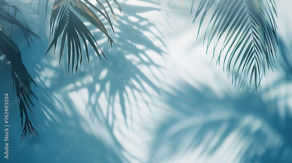 Poster blurred shadow from palm leaves on the light blue wall minimal abstract background for product prese