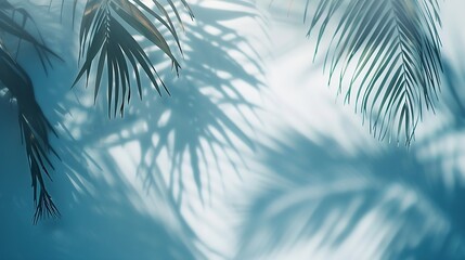 Blurred shadow from palm leaves on the light blue wall Minimal abstract background for product presentation Spring and summer : Generative AI