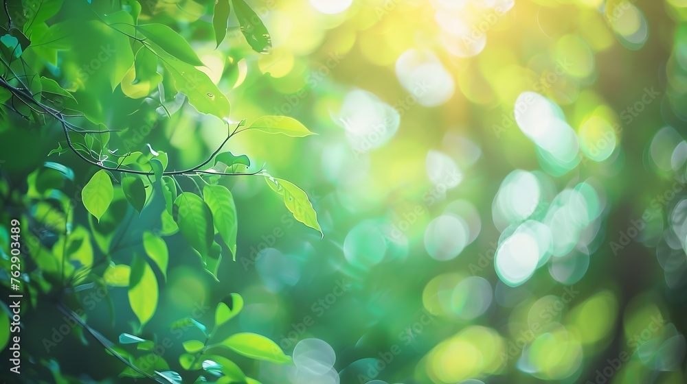 Poster green bokeh out of focus background from nature forest : generative ai