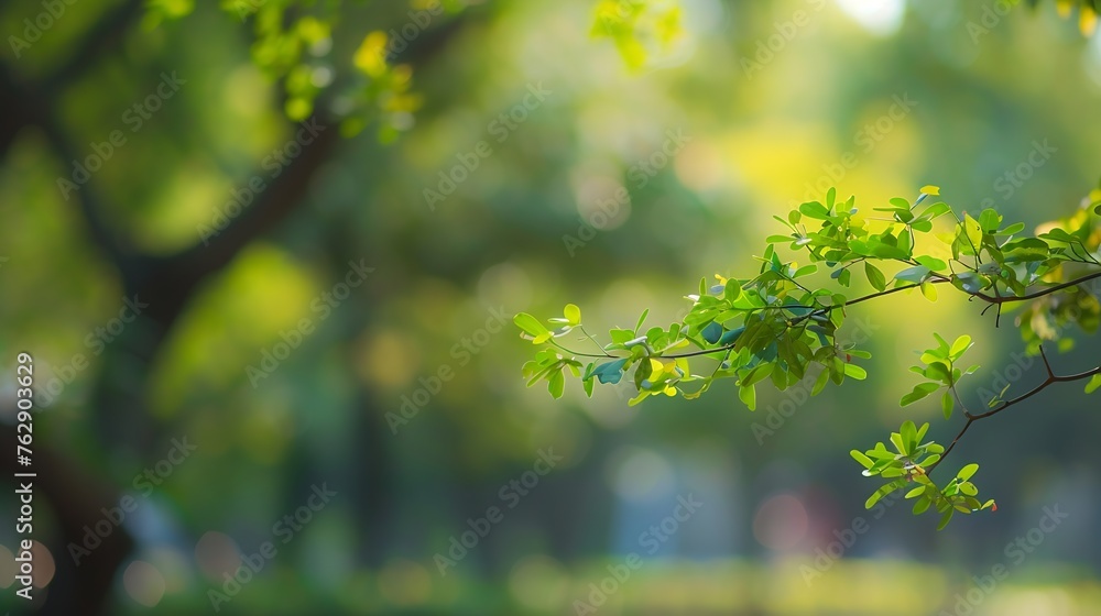 Poster blurred of green natural tree in park background : generative ai