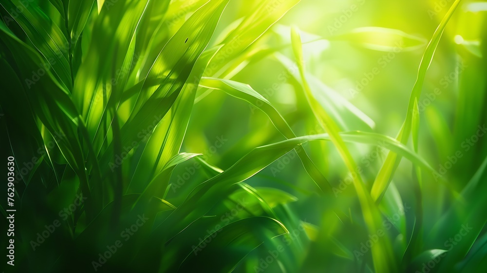 Aufkleber abstract nature background : generative ai