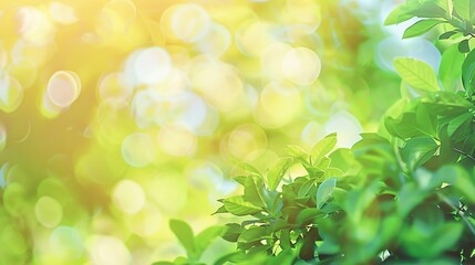 Fototapeta premium Green nature in spring eco garden Summer abstract blurred background Bush trees leaves Light blurry out focus bokeh Soft fresh bio plant Sunny sky foliage park grass Bright color sun d : Generative AI