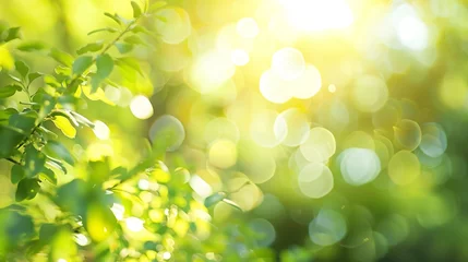 Fotobehang Defocused image blur of fresh green spring summer landscape with sun shining : Generative AI © Generative AI