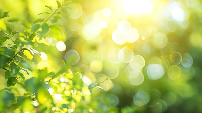Defocused image blur of fresh green spring summer landscape with sun shining : Generative AI