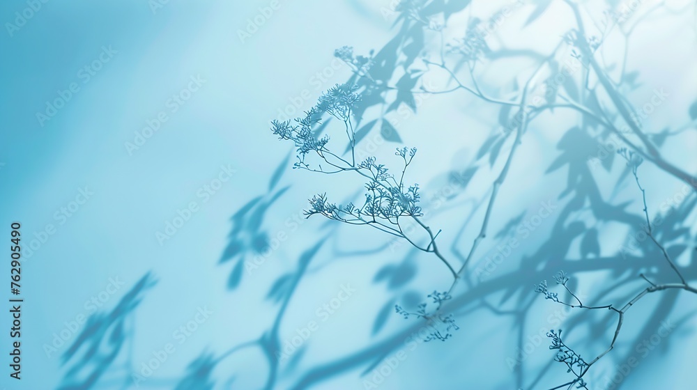 Aufkleber Minimalistic abstract gentle light blue background for product presentation with light and intricate shadow from tree branches on wall : Generative AI
