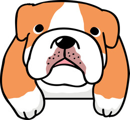 Cute Cartoon Bulldog Head Character