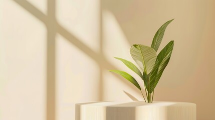 Minimal wood white podium with blurred green leaf plant on beige backgroundBeauty cosmetic natural mild product modern displaynature eco friendly concept : Generative AI