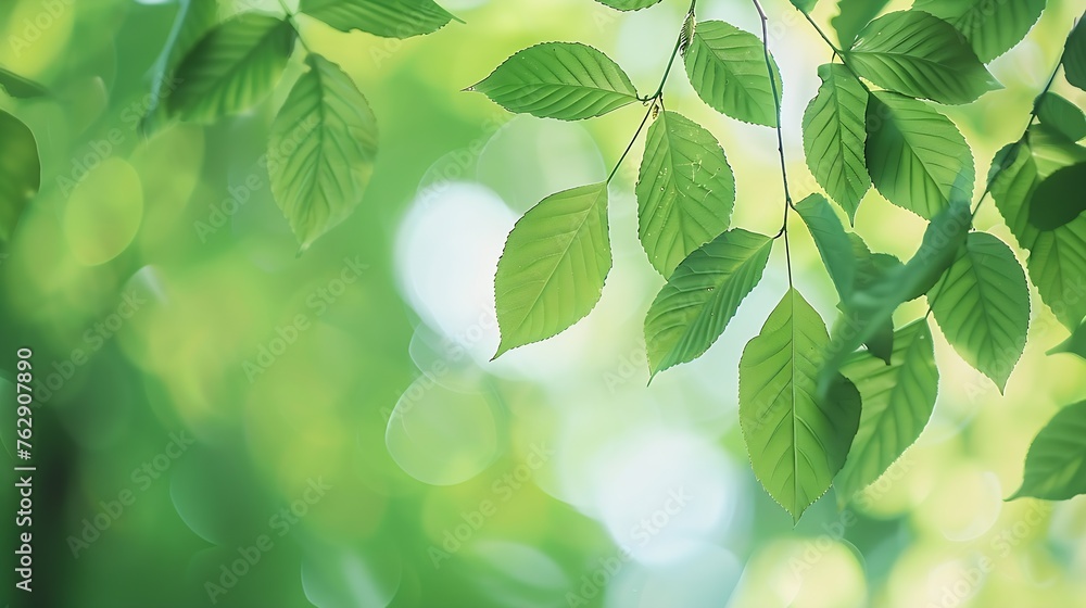 Aufkleber blurred greenery leaves of tree forest : generative ai
