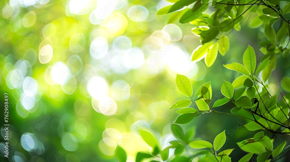 Poster natural green bokeh background : Generative AI