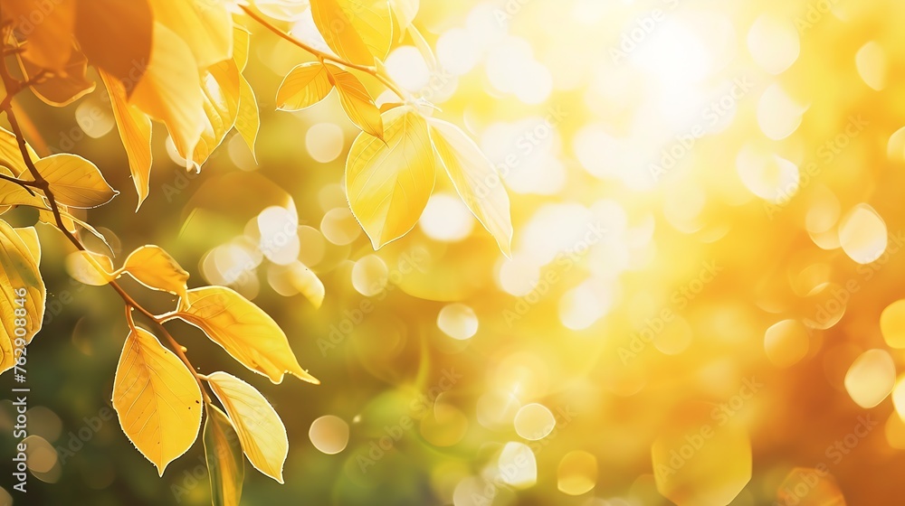 Leinwandbilder sunlight through leaves on tree image blur bokeh background Background yellow blur beautiful is the bokeh effect nature color autumn time fall  season : Generative AI