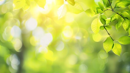 Fototapeta na wymiar Spring background green tree leaves on blurred background : Generative AI