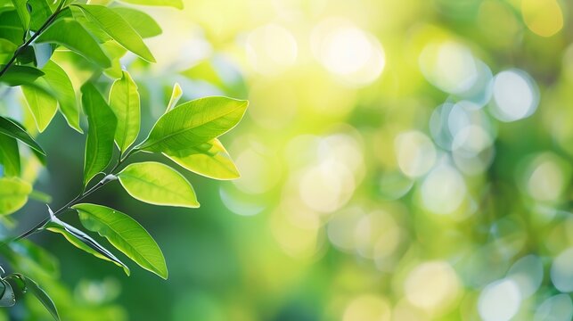 Closeup nature view of green leaf on blurred greenery background in garden with copy space using as background natural green plants landscape ecology Blurred green bokeh nature abstrac : Generative AI