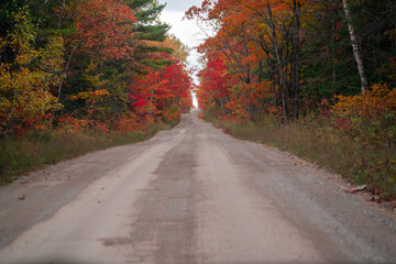 Obraz premium Road in Autumn