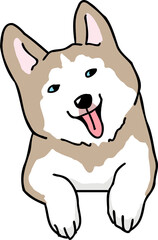 Cute Cartoon Siberian Husky Dog Character
