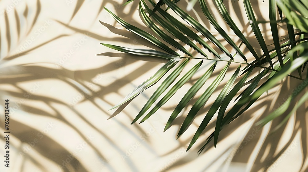 Aufkleber Abstract background of shadows palm leaves on a sand color wall Summer beach concept with palm tree leaf : Generative AI