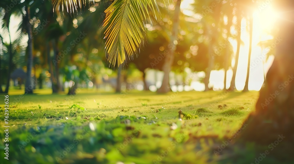 Poster blur nature bokeh green park by beach and tropical coconut trees in sunset time : generative ai