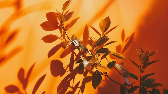 Bright orange background with plant shadows for product or cosmetics High quality photo : Generative AI