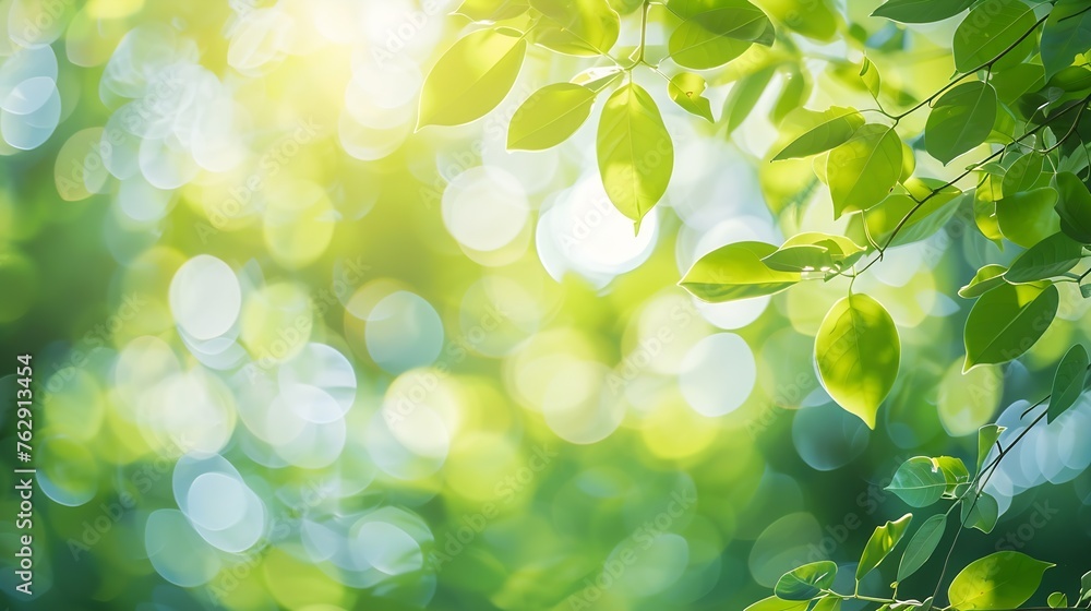 Poster Bokeh of vivid leaves of trees in sunlight Natural green background Blurred rich greenery with copy space Abstract texture of defocused lush foliage in sunny day Backdrop of scenic nat : Generative AI