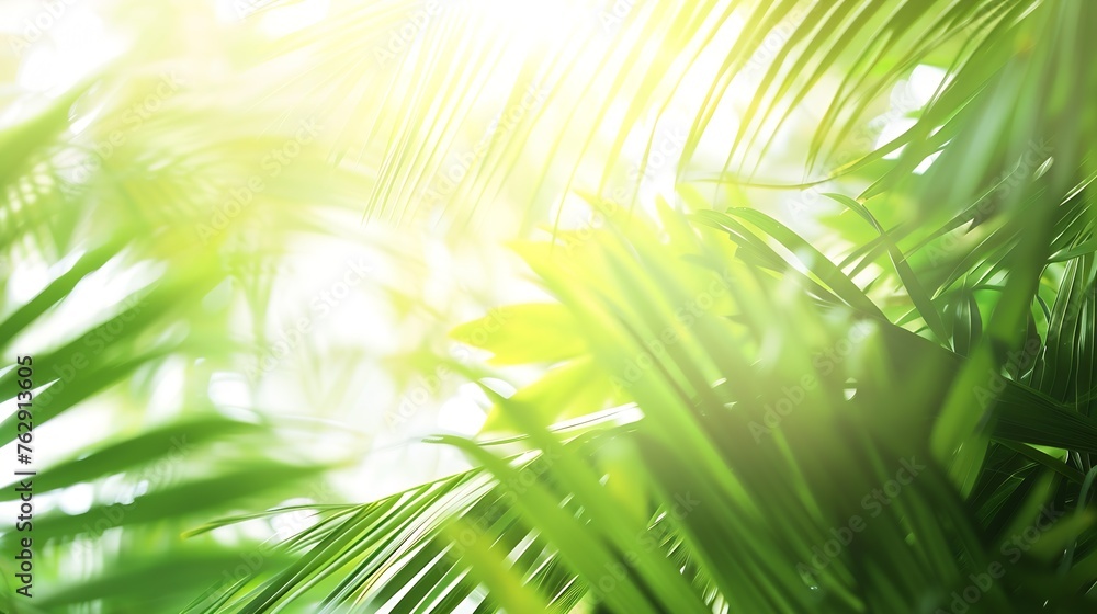 Poster coconut tree leaves blur in spring for nature background : generative ai