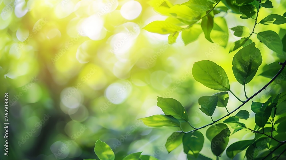 Poster Beautiful nature view of green leaf on blurred greenery background in garden and sunlight with copy space using as background natural green plants landscape ecology fresh wallpaper con : Generative AI