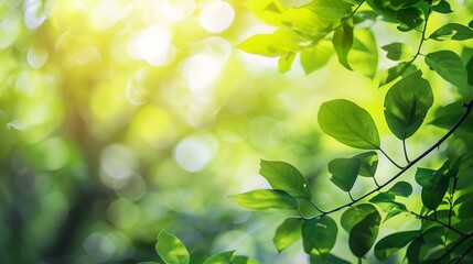 Beautiful nature view of green leaf on blurred greenery background in garden and sunlight with copy space using as background natural green plants landscape ecology fresh wallpaper con : Generative AI