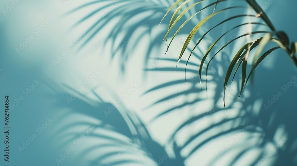 Aufkleber blurred shadow from palm leaves on the light blue wall minimal abstract background for product prese