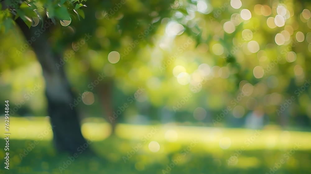 Poster blur green park garden outdoor background blurry tree nature with bokeh light background blur nature