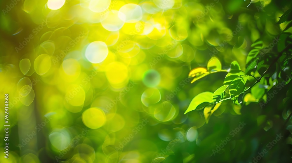 Fototapete natural green yellow blurred background green yellow bokeh on nature defocus abstract blur backgroun