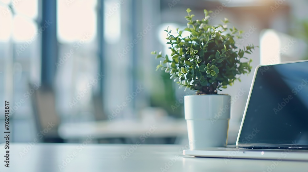 Poster close up view of simple workspace with laptop notebooks coffee cup and tree pot on white table with 