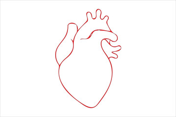 Human heart vector - obrazy, fototapety, plakaty