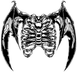 illustration line drawing hand drawn
ribs and bat wings
translucent background