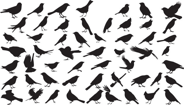 Birds Flying Silhouettes white background 