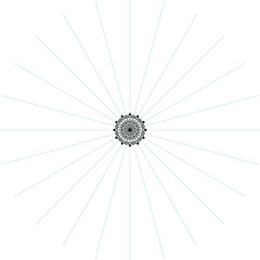 Luxury Beautiful Flower Mandala Design