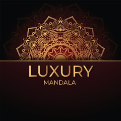 Luxury Beautiful Flower Mandala Design