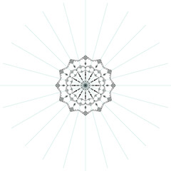 Luxury Beautiful Flower Mandala Design